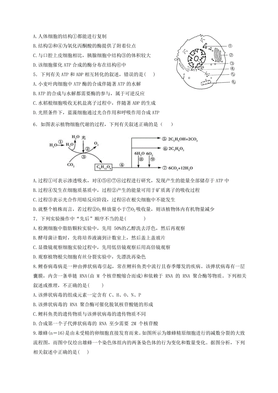 江苏省响水中学2021届高三生物上学期第三次学情分析考试试题.doc_第2页