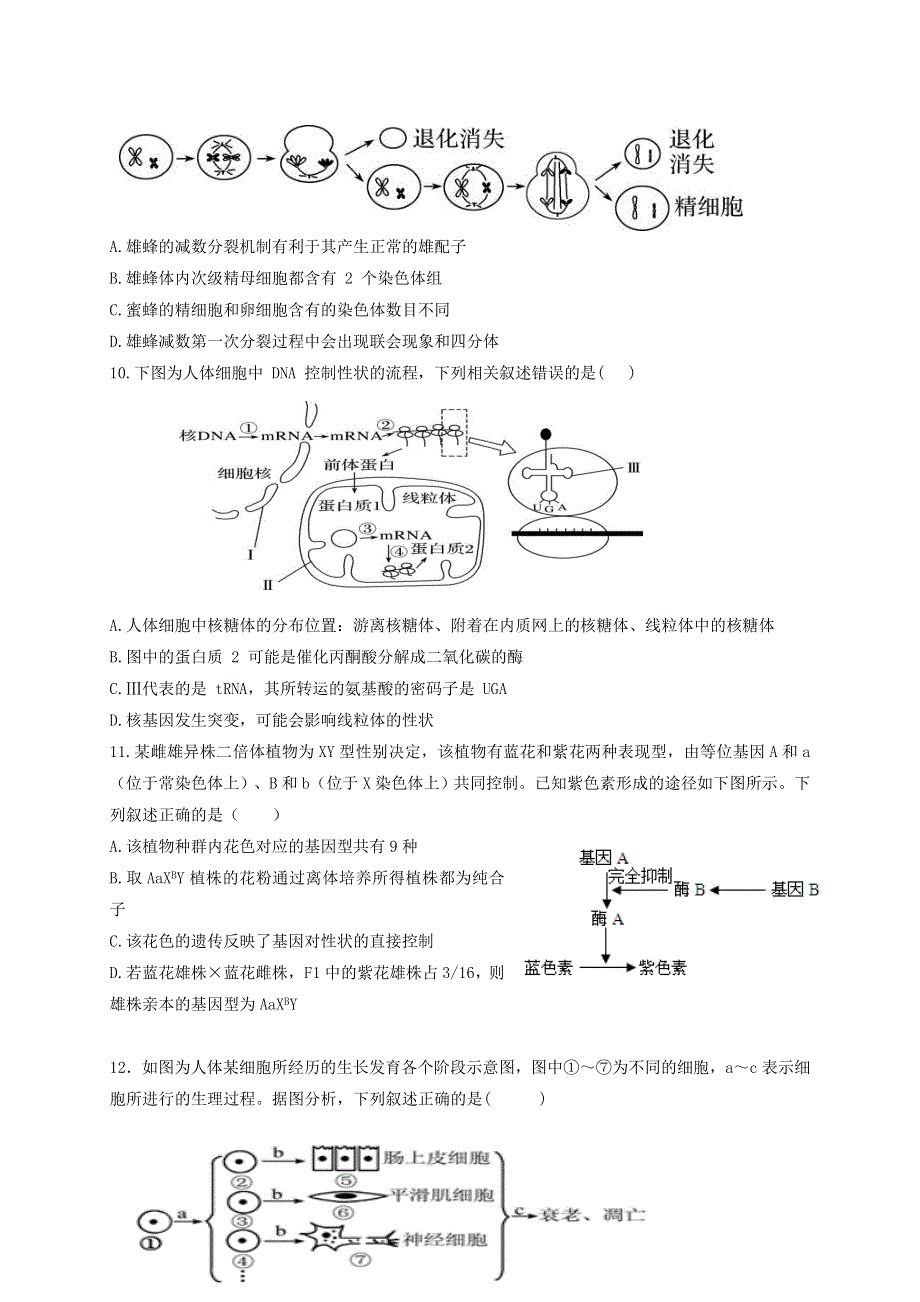 江苏省响水中学2021届高三生物上学期第三次学情分析考试试题.doc_第3页