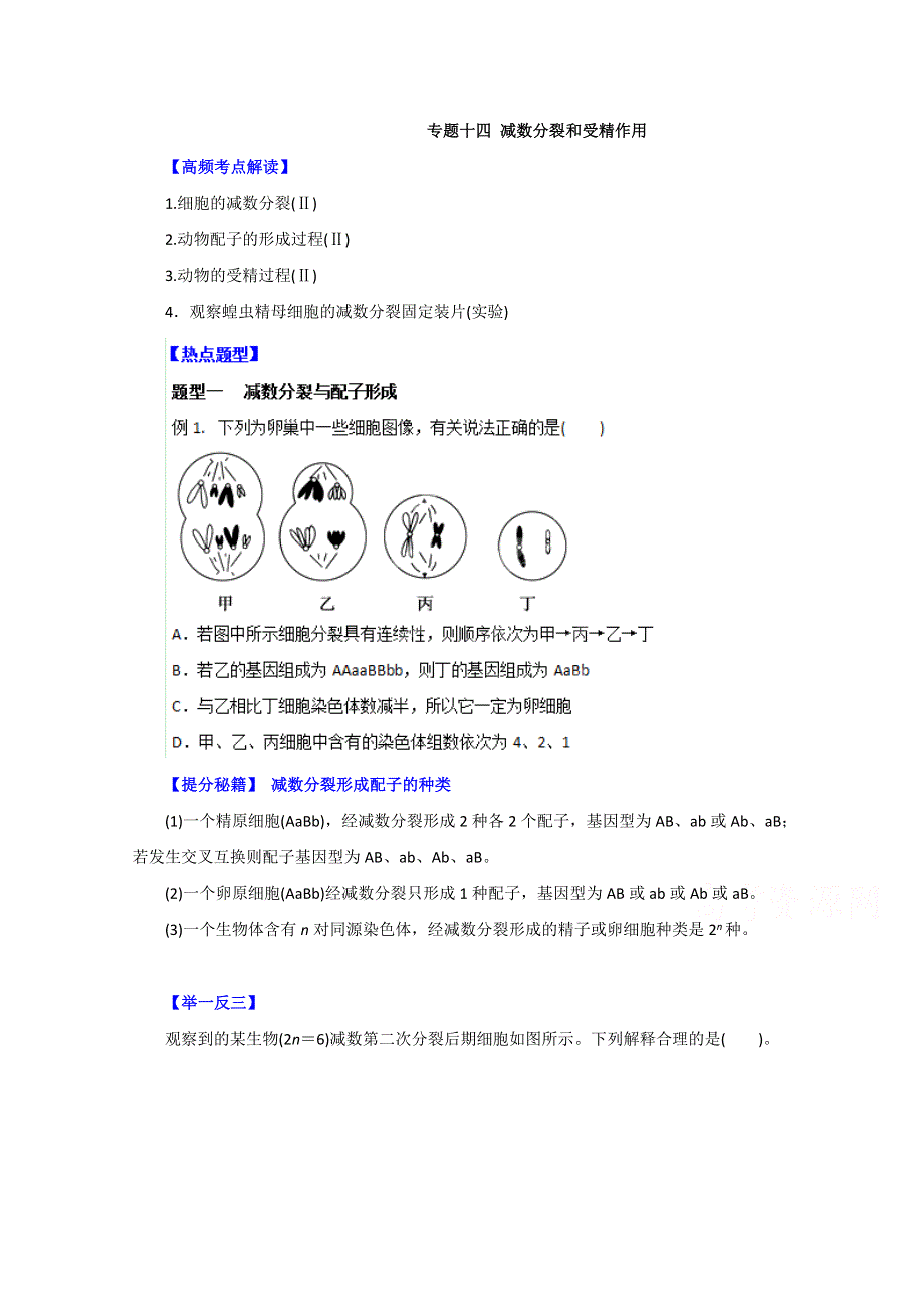 备战2015高考生物热点题型和提分秘籍 专题14 减数分裂和受精作用（原卷版） WORD版缺答案.doc_第1页