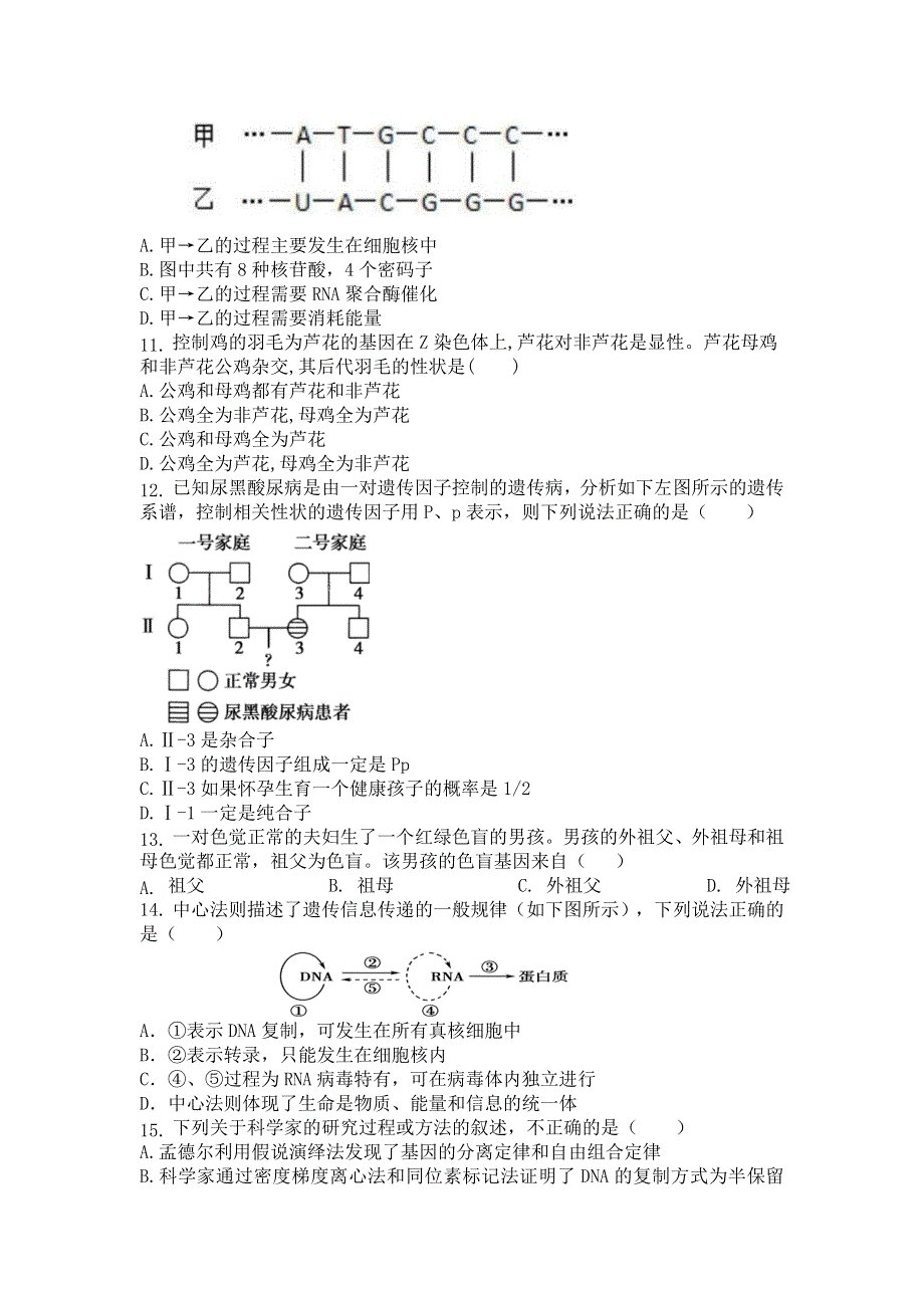 吉林省通化县综合高级中学2020-2021学年高一下学期期末考试生物试题 WORD版含答案.doc_第3页