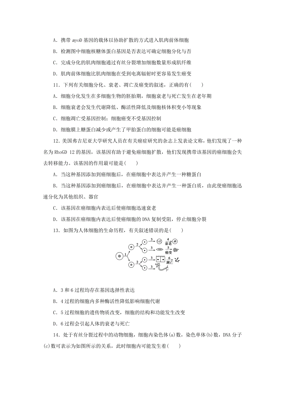 2017-2018学年生物人教版必修1：阶段质量检测（五）　细胞的生命历程 WORD版含答案.doc_第3页