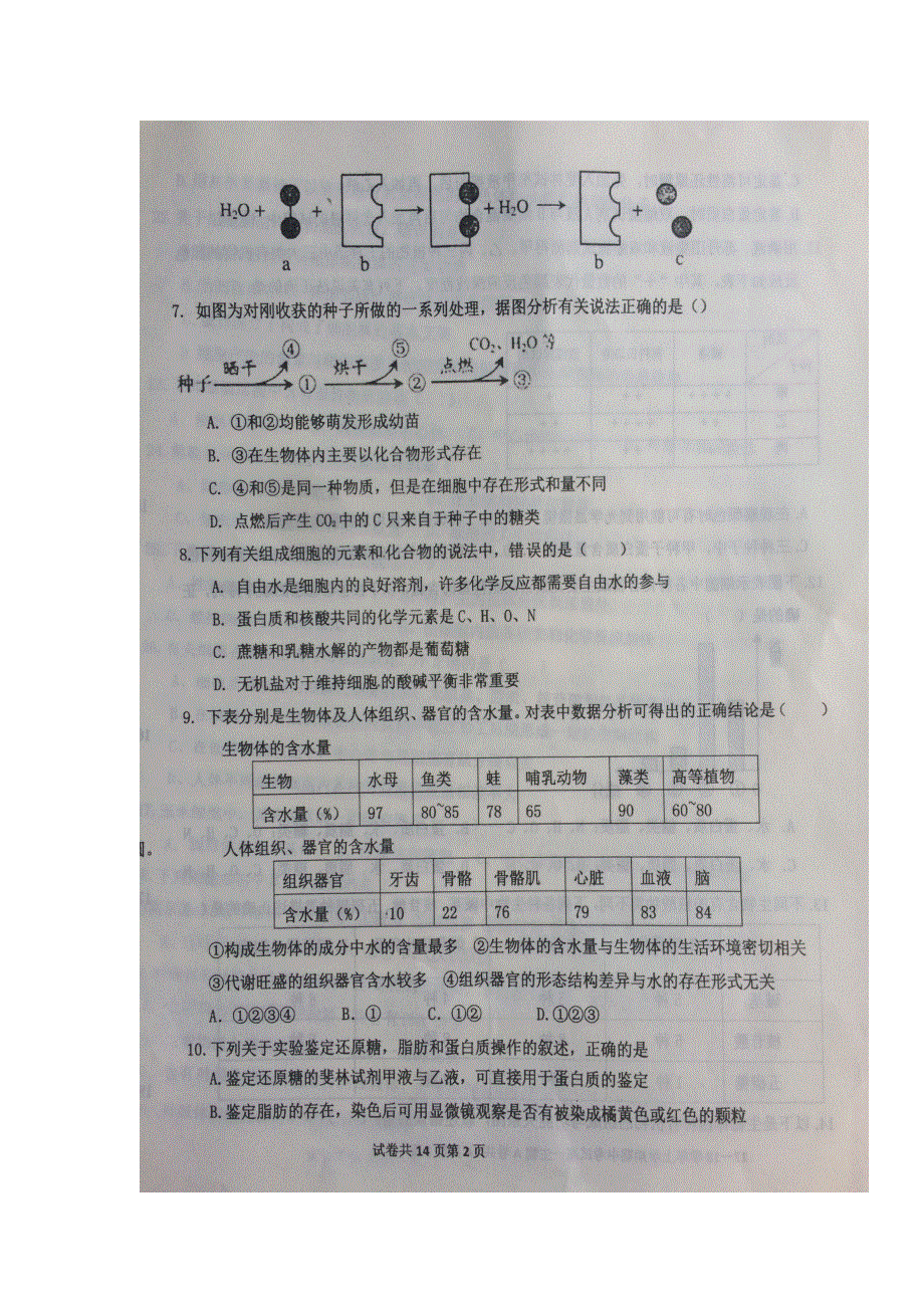 河北省冀州市中学2017-2018学年高一上学期期中考试生物试题 扫描版无答案.doc_第2页