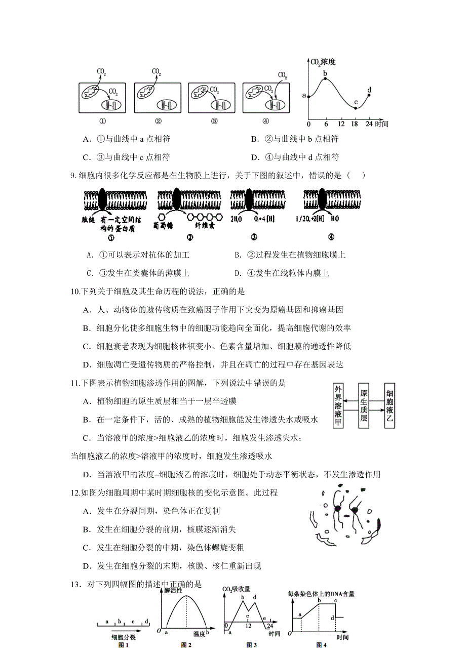 江苏省响水中学2017届高三上学期学情分析考试（2）生物试题 WORD版含答案.doc_第3页