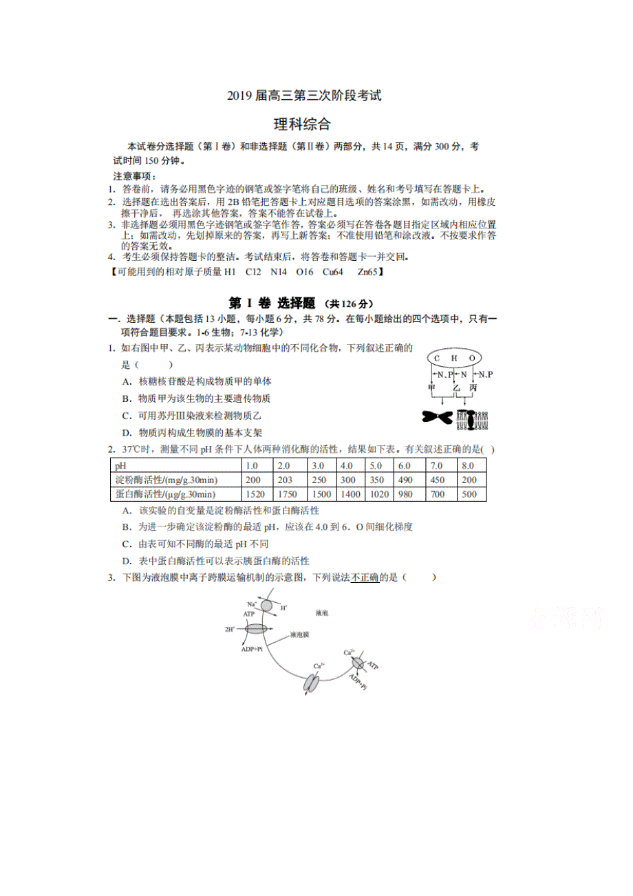 广东省深圳外国语学校2019届高三上学期第三次阶段考试生物试题 扫描版含答案.doc_第1页