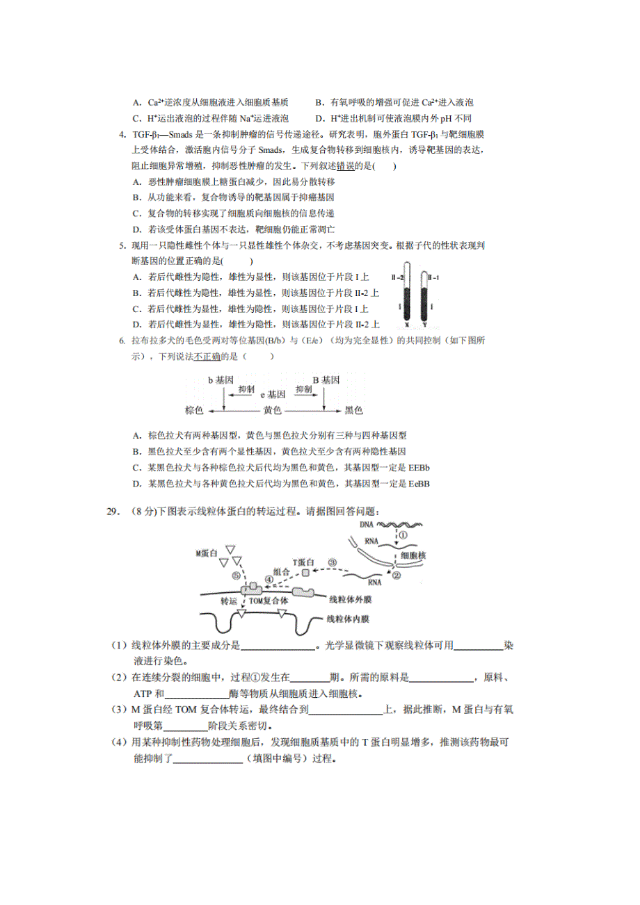 广东省深圳外国语学校2019届高三上学期第三次阶段考试生物试题 扫描版含答案.doc_第2页