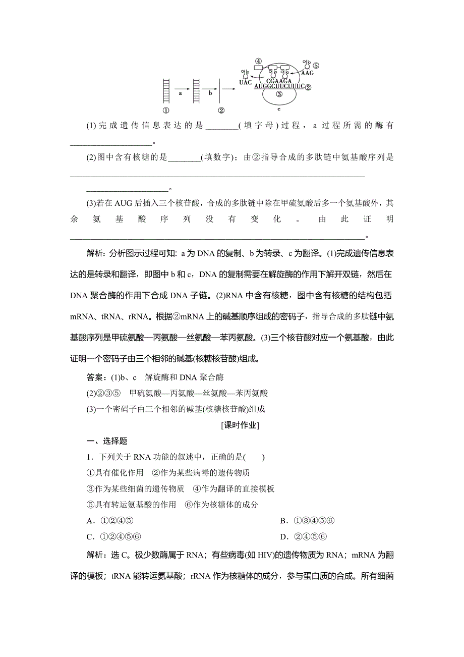 2019-2020学年北师大版生物必修二新素养同步练习：第3章 第2节第1课时　基因控制蛋白质的合成 WORD版含解析.doc_第3页