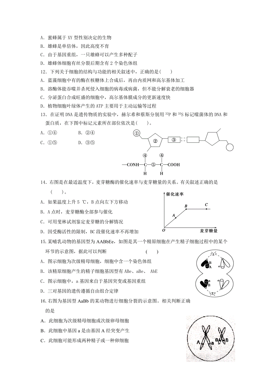 江苏省兴化市2014届高三上学期期中考试生物试题 WORD版含答案.doc_第3页