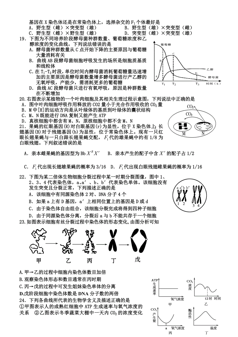 山东省潍坊市寿光现代中学2015届高三10月月考生物试题 WORD版含答案.doc_第3页