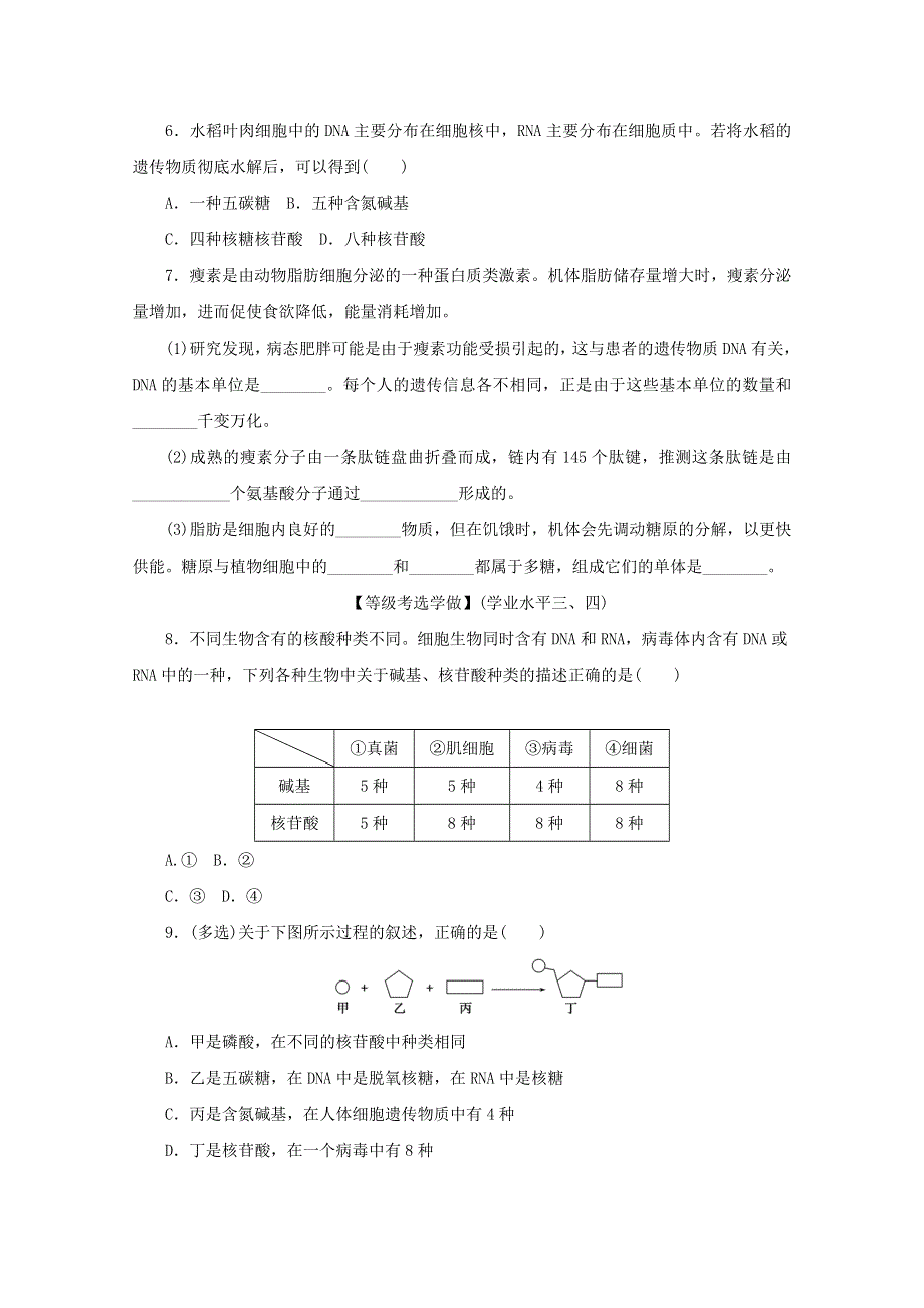 2020-2021学年新教材高中生物 课后分层检测案7 核酸是遗传信息的携带者（含解析）新人教版必修1.doc_第2页