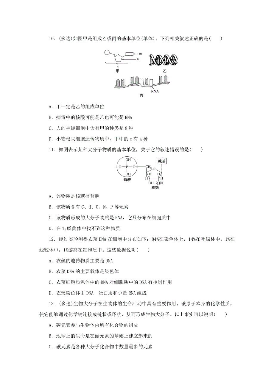 2020-2021学年新教材高中生物 课后分层检测案7 核酸是遗传信息的携带者（含解析）新人教版必修1.doc_第3页