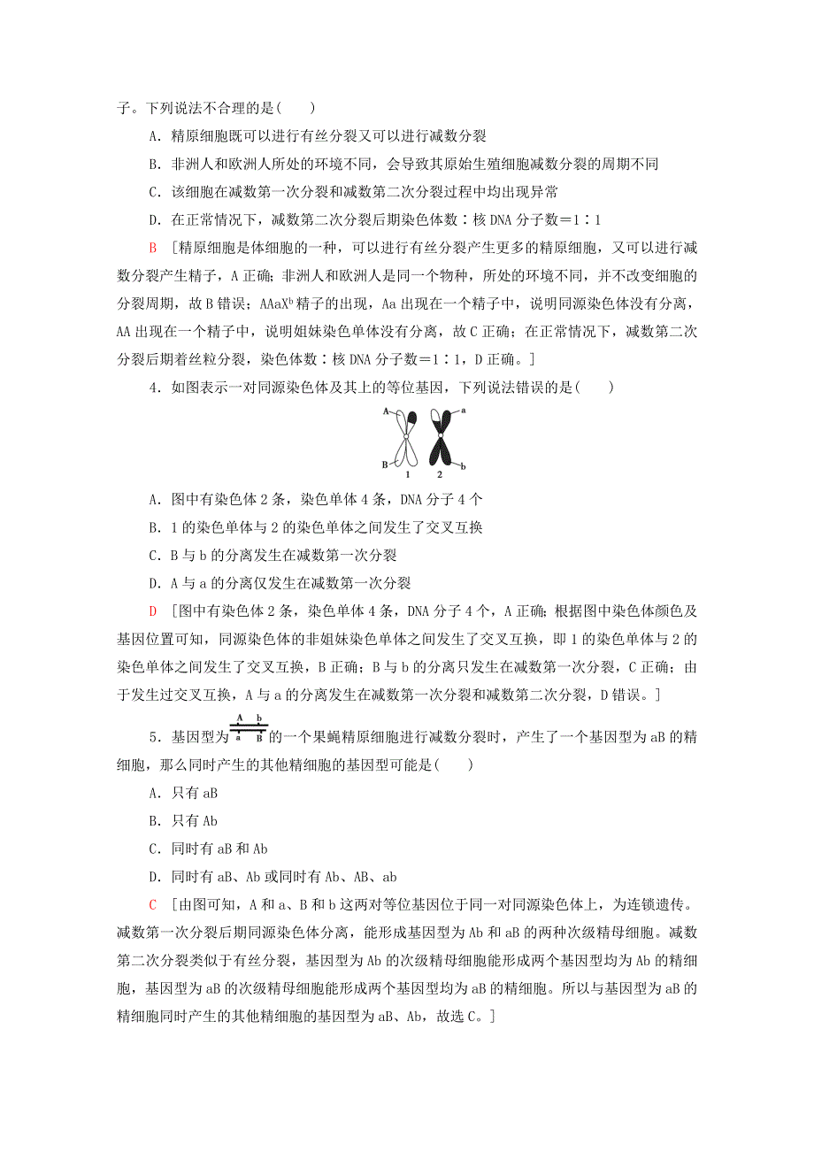 2020-2021学年新教材高中生物 重点突破练2 减数分裂与基因与染色体关系加强练（含解析）浙科版必修2.doc_第2页