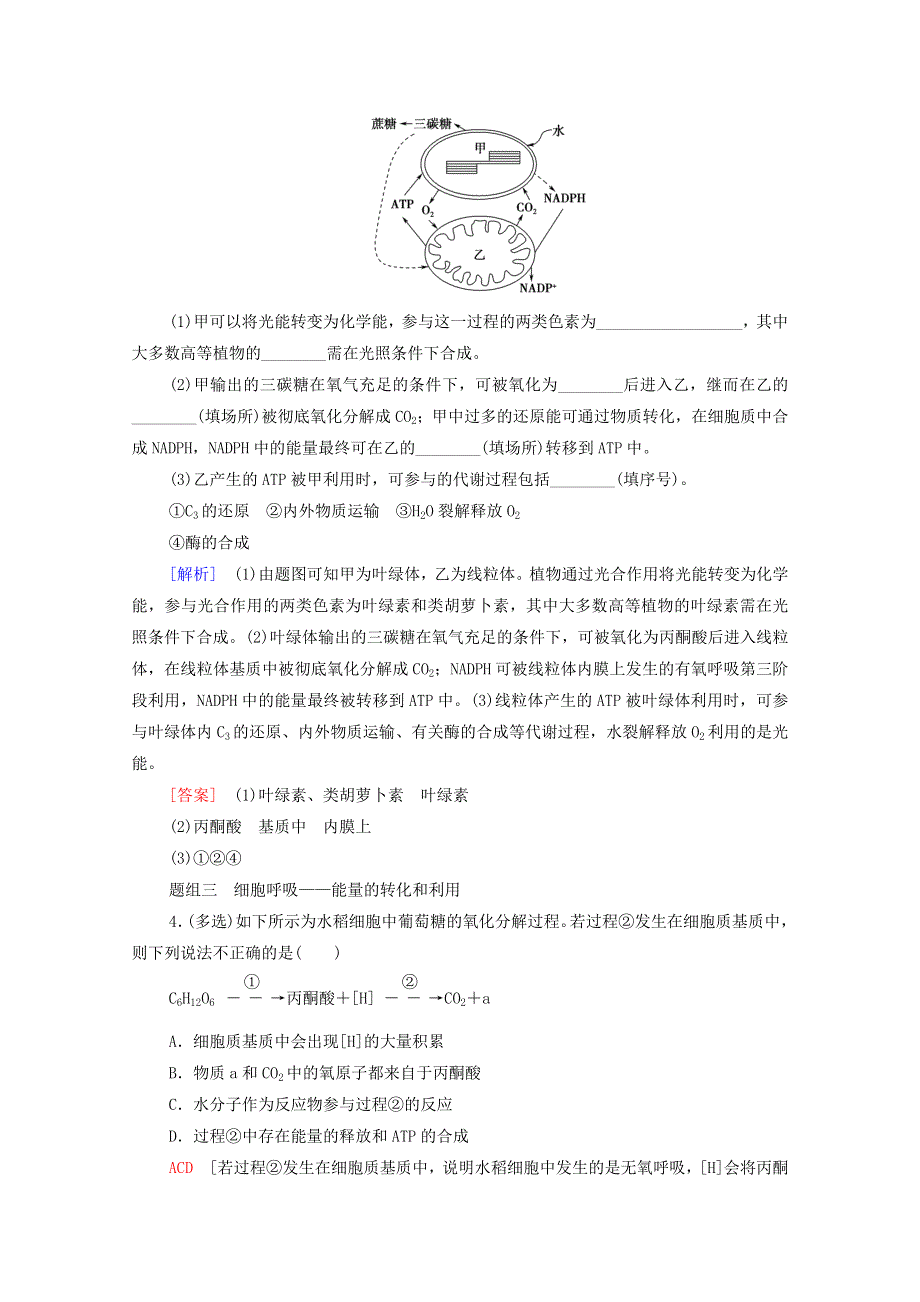 2020-2021学年新教材高中生物 重点突破练5（含解析）苏教版必修1.doc_第2页