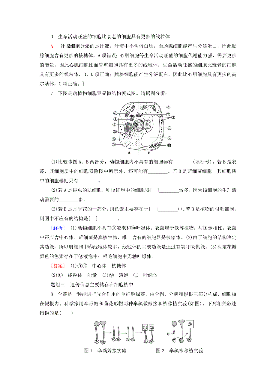 2020-2021学年新教材高中生物 重点突破练2（含解析）苏教版必修1.doc_第3页