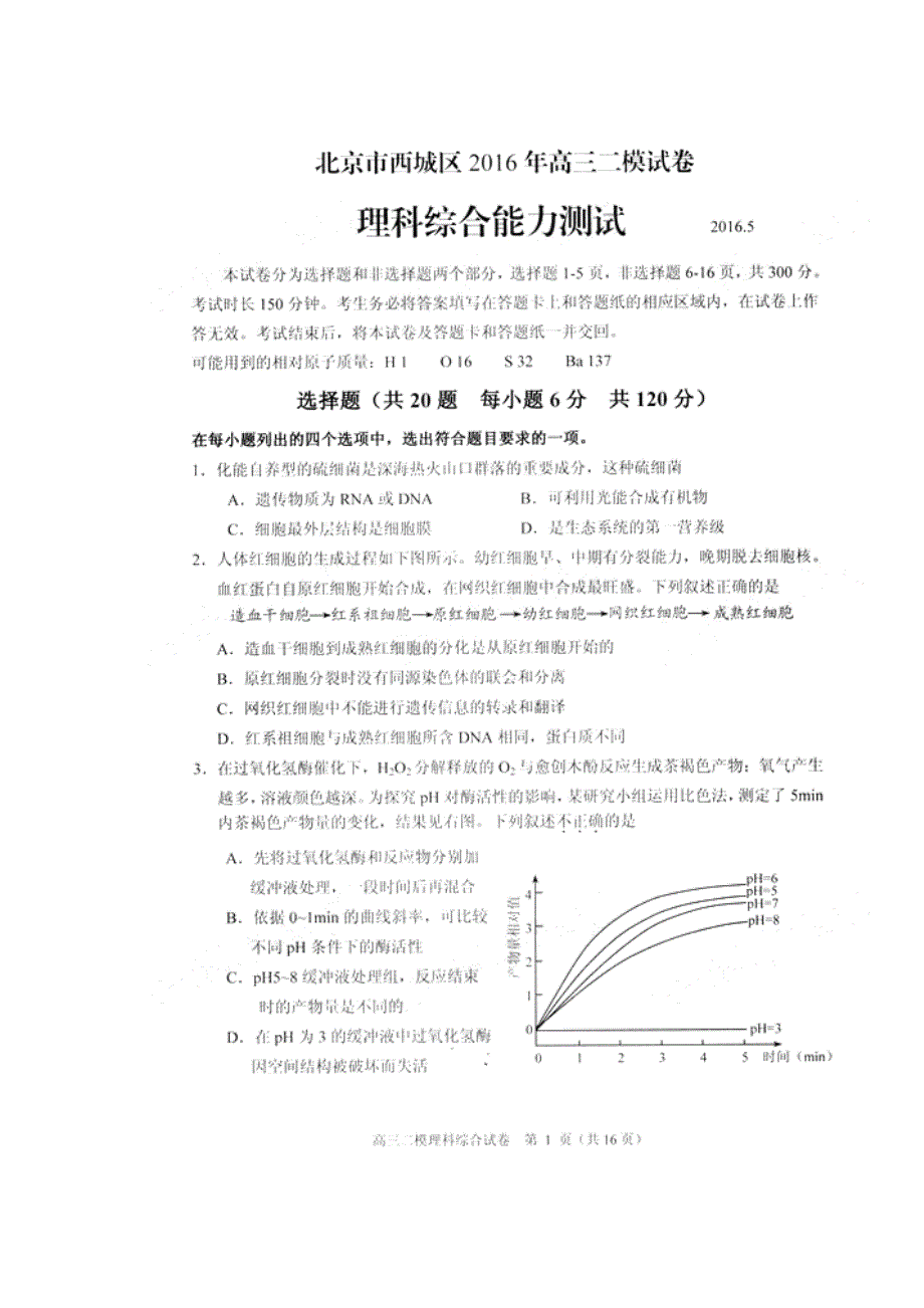 北京市西城区2016届高三二模考试理综生物试题 扫描版含答案.doc_第1页