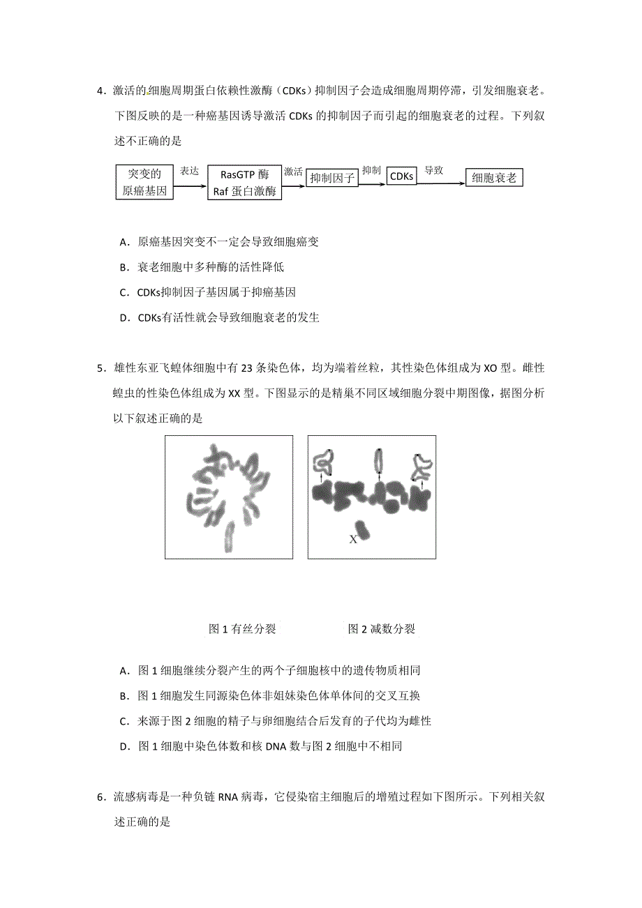 北京市西城区2017届高三上学期期末考试生物试题 WORD版含答案.doc_第3页