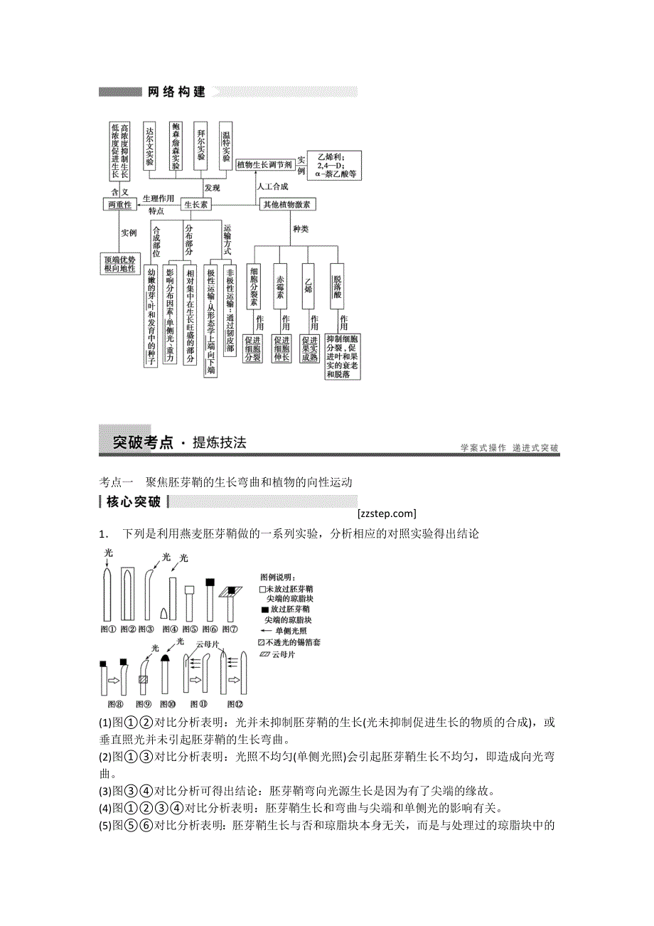 2014届高三人教版生物一轮复习教学案 8.doc_第3页