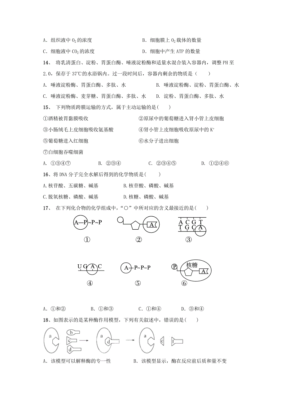 吉林省扶余市第一中学2018-2019学年高一上学期期末考试生物试题 WORD版含答案.doc_第3页