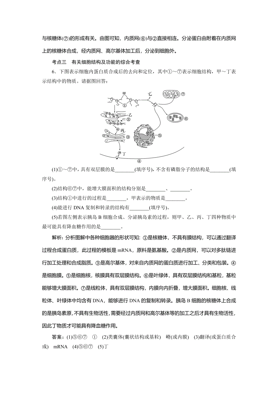 2014届高三人教版生物解题高效训练 必修1 第2单元 第2讲细胞器——系统内的分工合作 WORD版含解析.doc_第3页