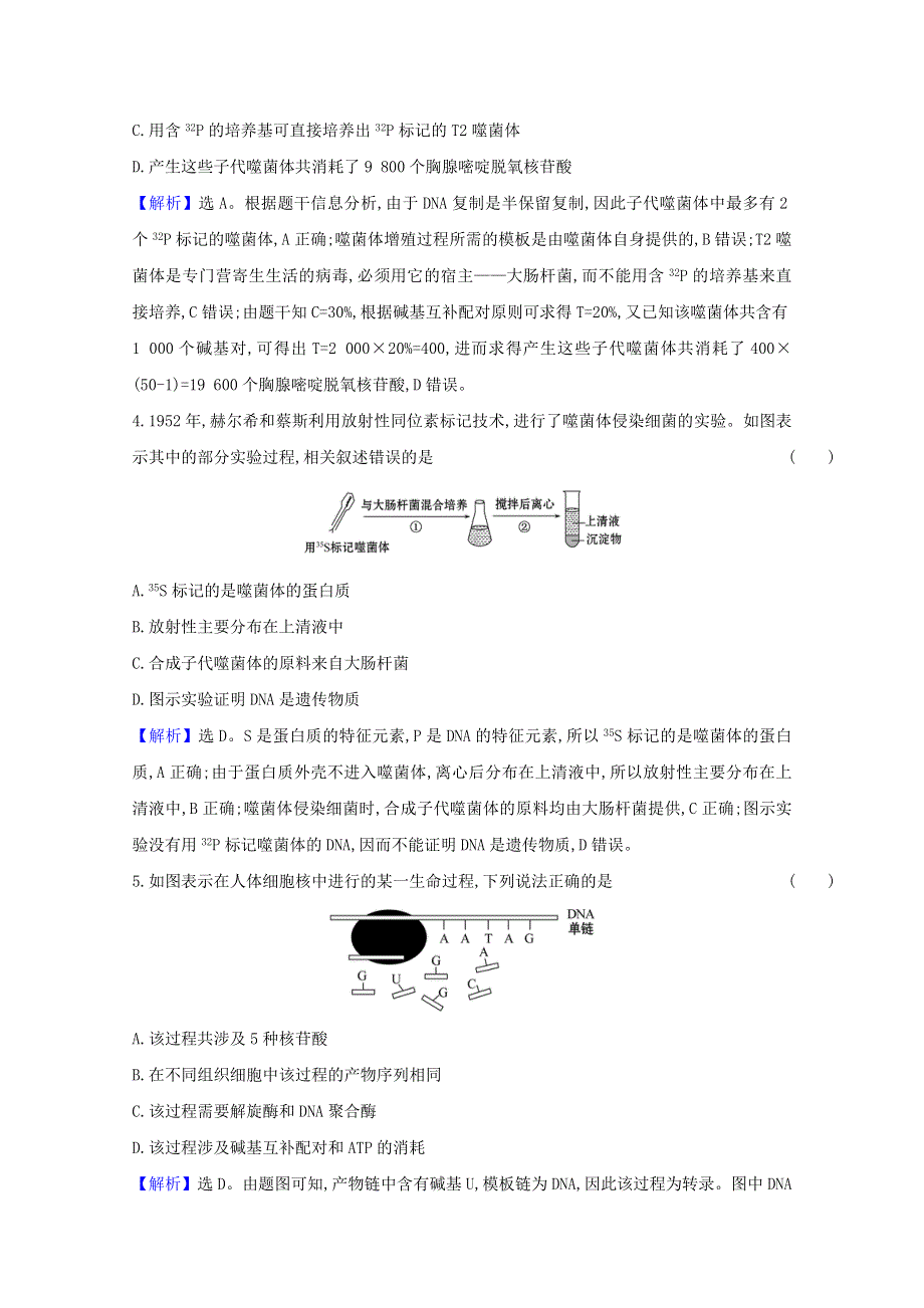 2020-2021学年新教材高中生物 第二章 遗传的分子基础 单元素养评价（二）（含解析）苏教版必修2.doc_第2页