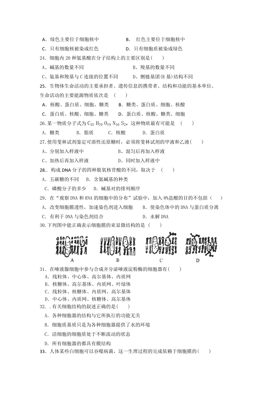 河北枣强中学2014-2015学年高一上学期期末考试生物试题 WORD版缺答案.doc_第3页