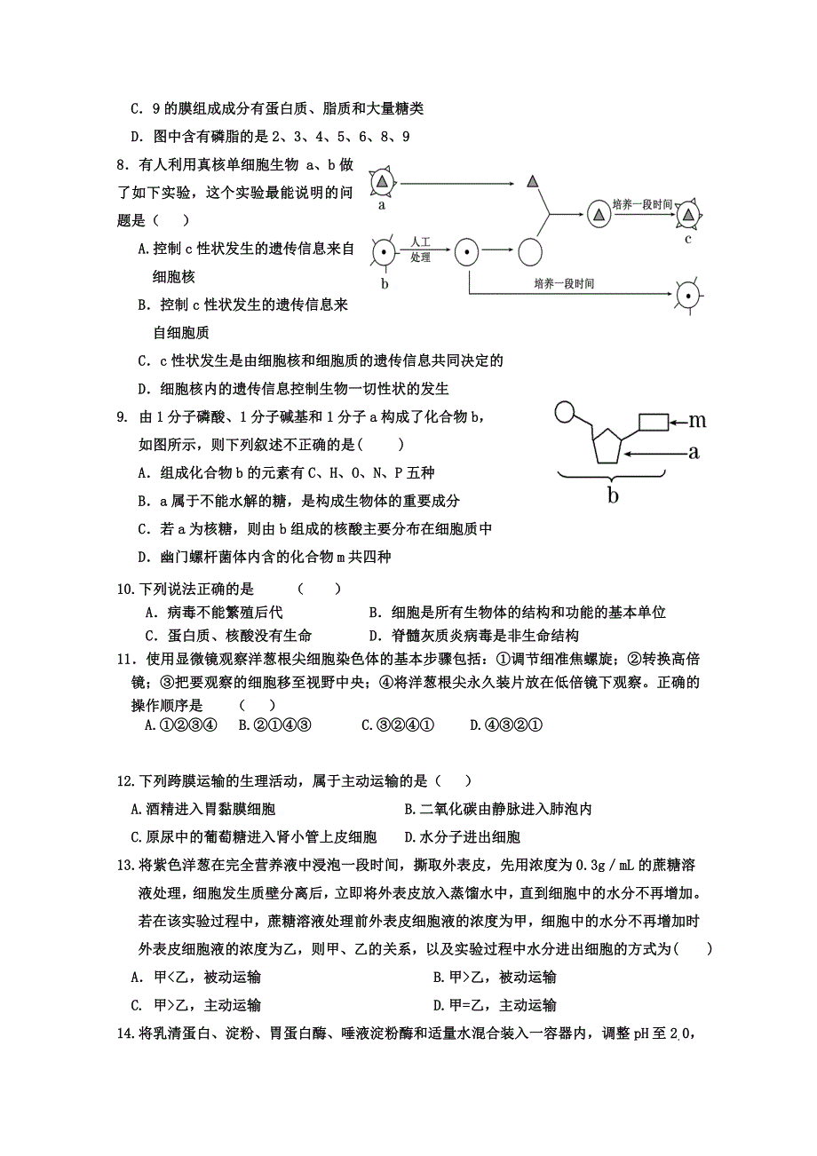 河北枣强中学2014-2015学年枣强中学高一上学期生物期末复习2 WORD版含答案.doc_第2页