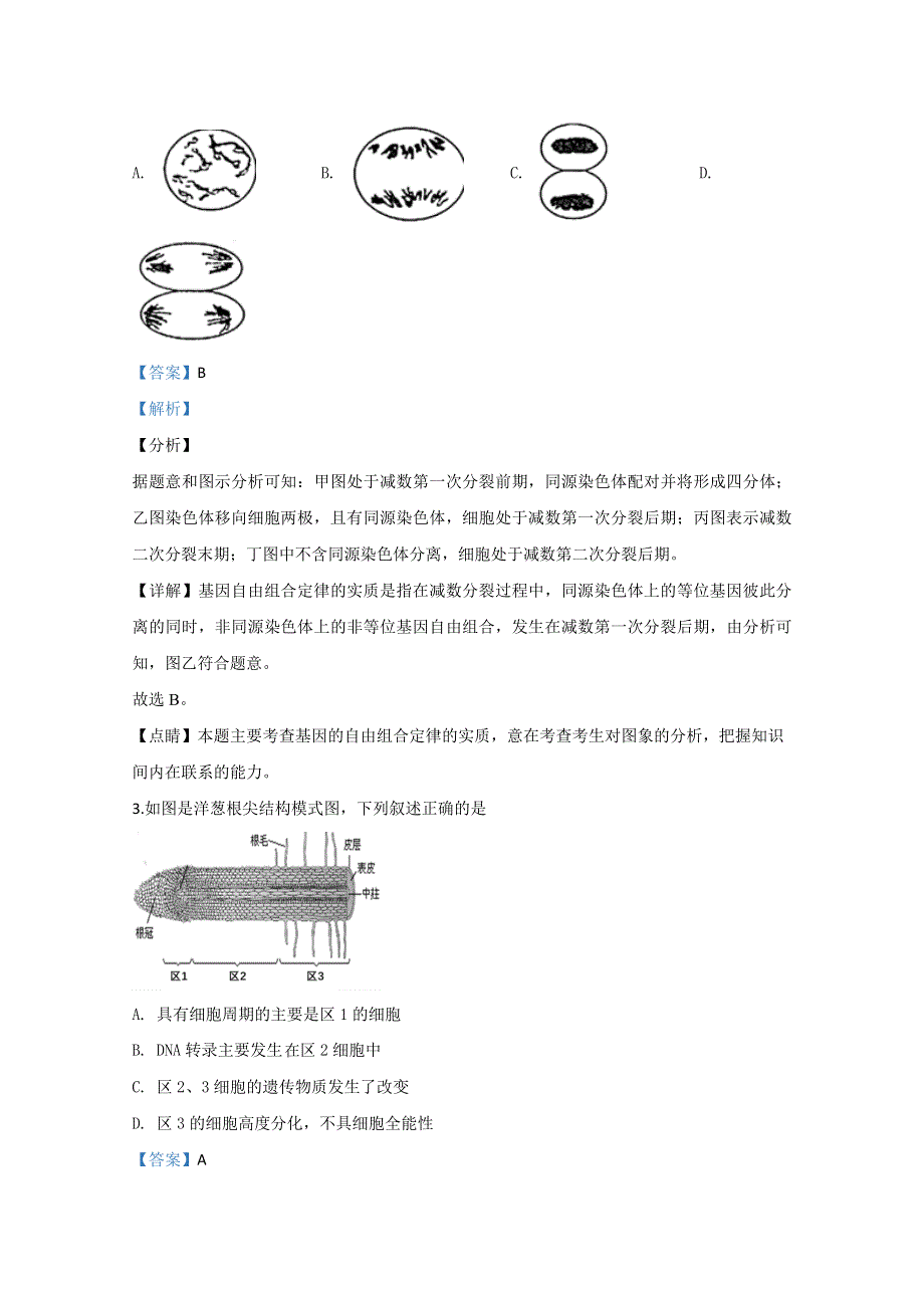 北京市西城区35中2020届高三上学期期中考试生物试题 WORD版含解析.doc_第2页