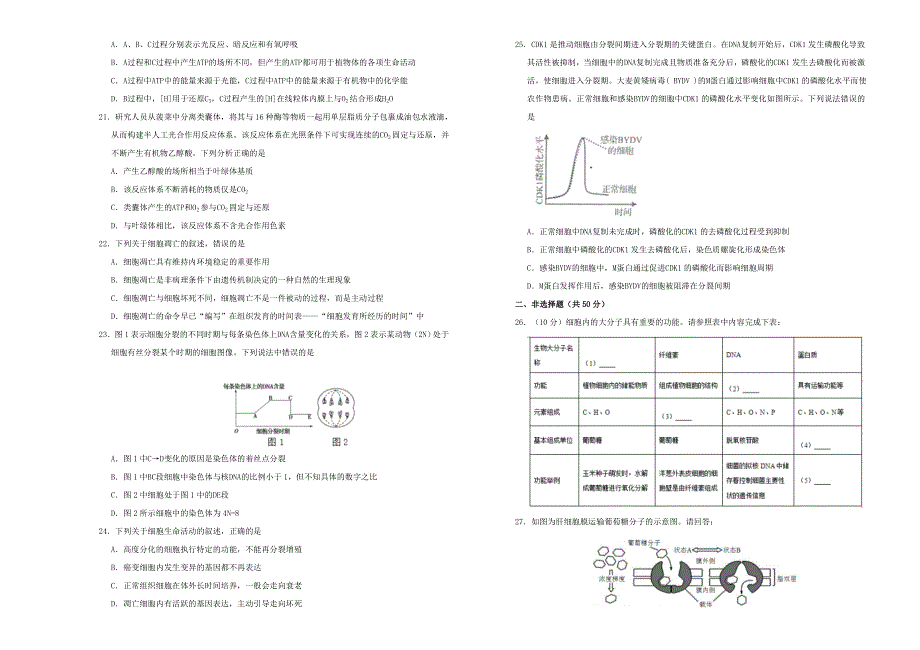 吉林省松原市前郭县第五中学2020-2021学年高二生物下学期期末备考试题.doc_第3页