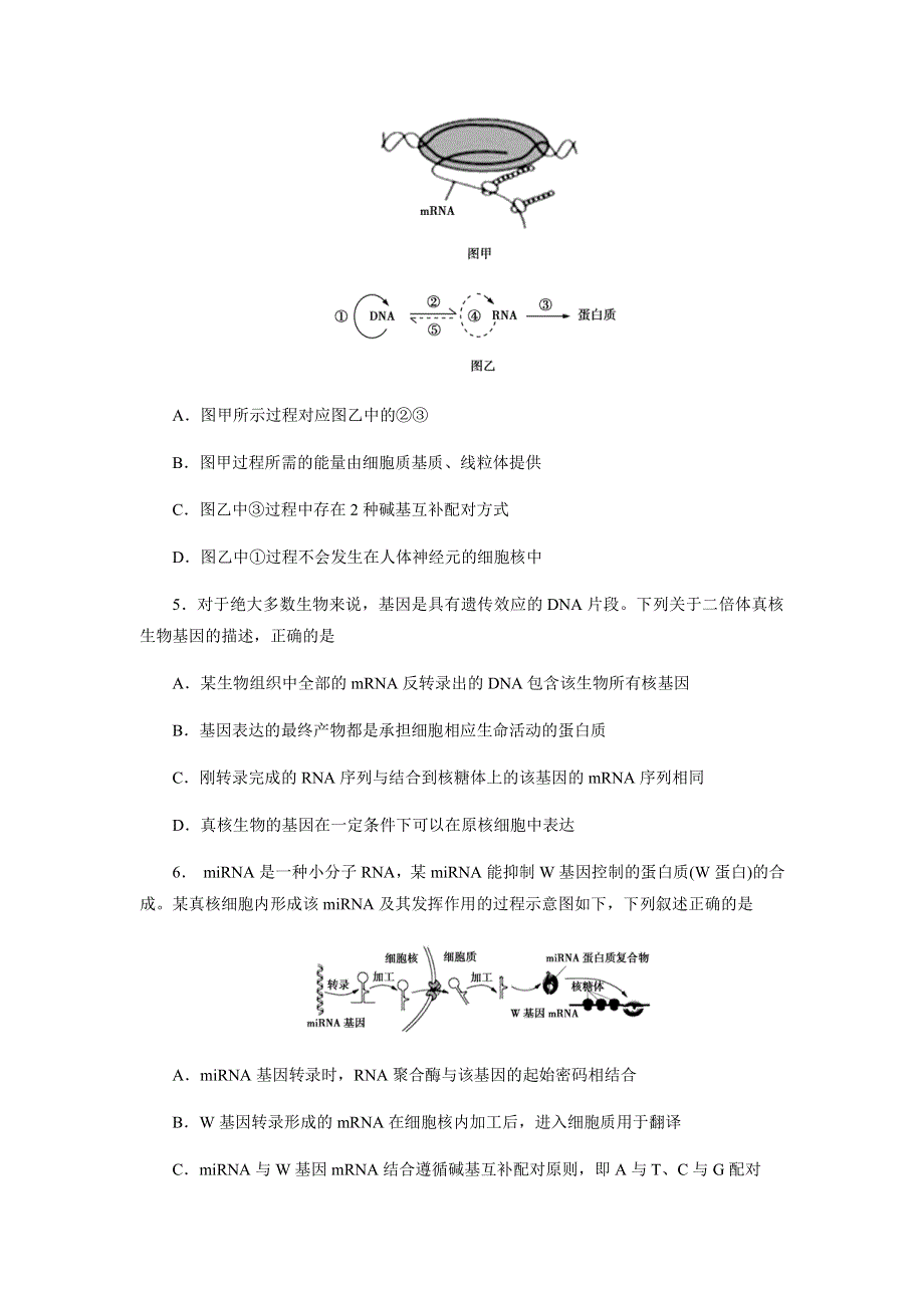 安徽省阜阳市临泉县第一中学2020-2021学年高二上学期期末考试生物试题 PDF版含答案.pdf_第2页