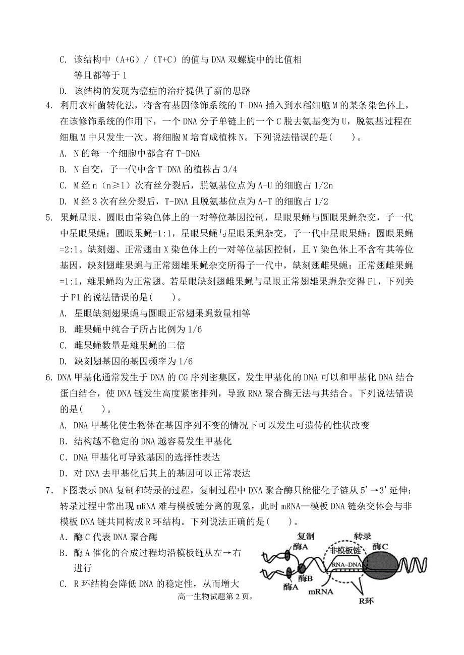 山东省潍坊第四中学2021-2022学年高二上学期收心考试生物试题 PDF版含答案.pdf_第2页