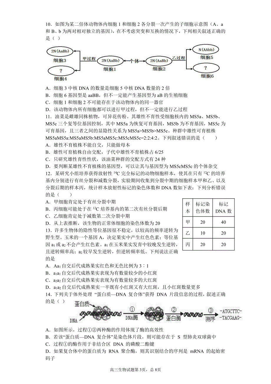 山东省潍坊第四中学2022届高三上学期收心考试生物试题 PDF版缺答案.pdf_第3页