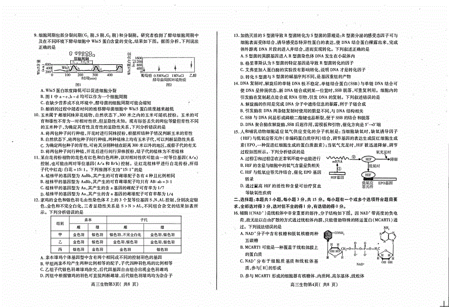 山东省烟台2023-2024高三生物上学期11月期中考试试题(pdf).pdf_第2页