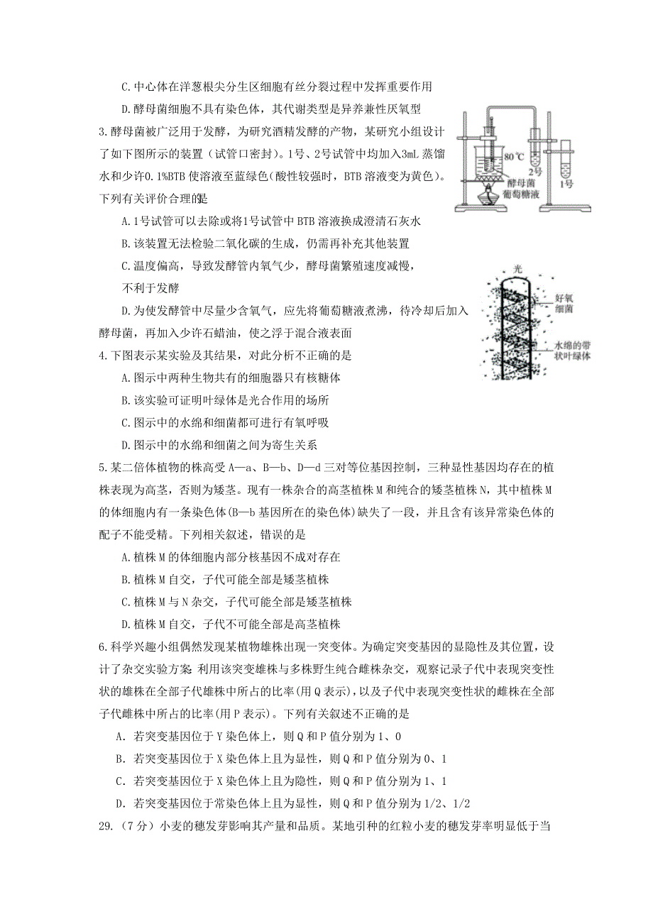 内蒙古鄂尔多斯市一中2017届高三上学期第四次月考理科综合-生物试题 WORD版含答案.doc_第2页