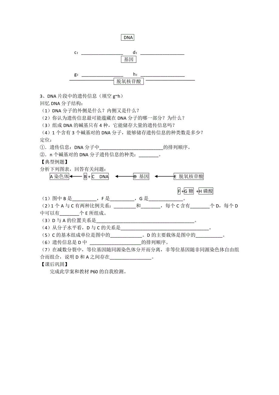 江苏省华罗庚中学高中生物《3.4 基因是有遗传效应的DNA片段》学案（人教版必修2）.doc_第2页