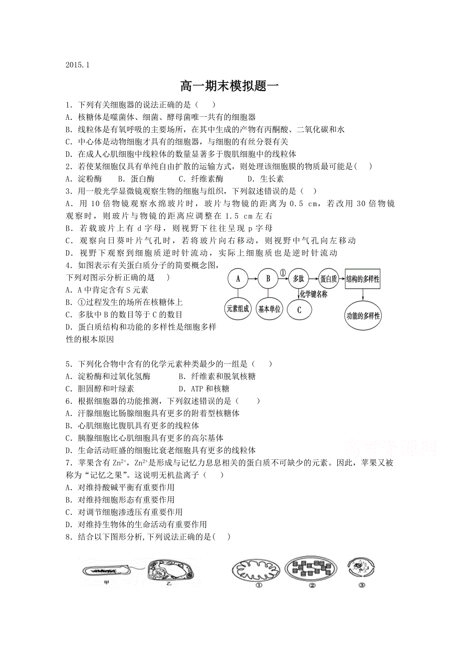山东省潍坊第一中学2014-2015学年高一上学期期末考试生物模拟试题（一） WORD版含答案.doc_第1页