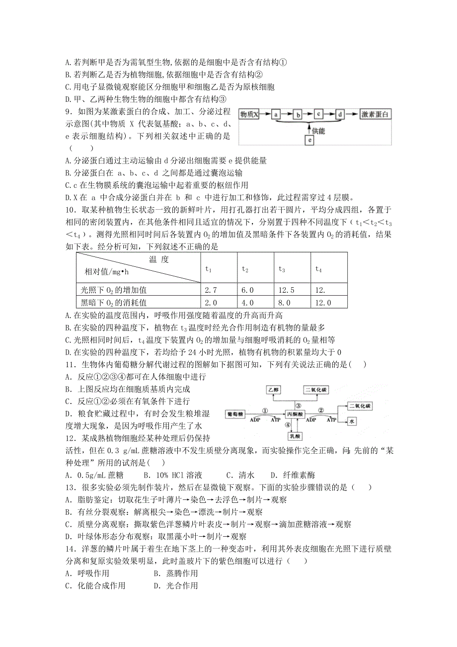 山东省潍坊第一中学2014-2015学年高一上学期期末考试生物模拟试题（一） WORD版含答案.doc_第2页