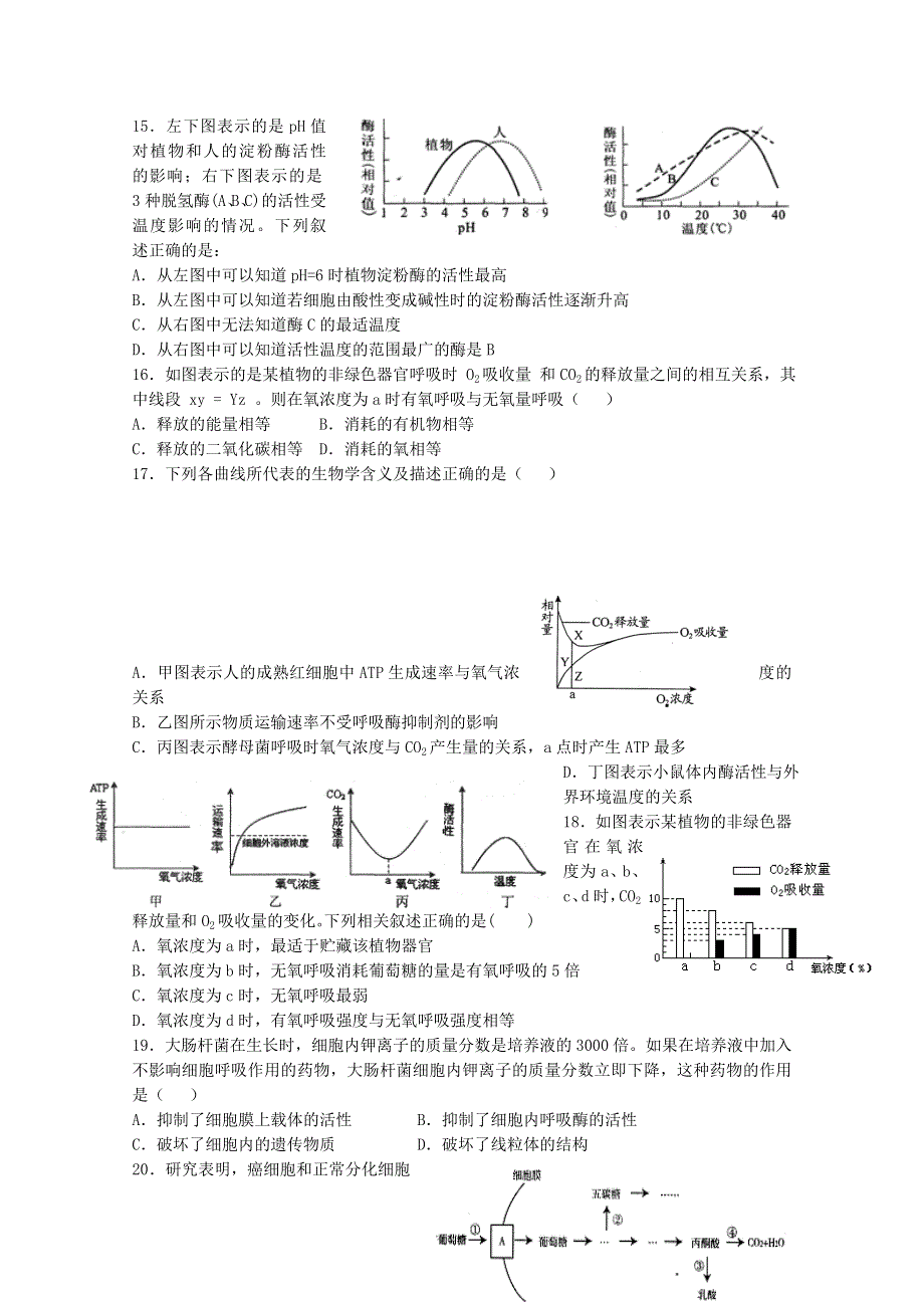 山东省潍坊第一中学2014-2015学年高一上学期期末考试生物模拟试题（一） WORD版含答案.doc_第3页