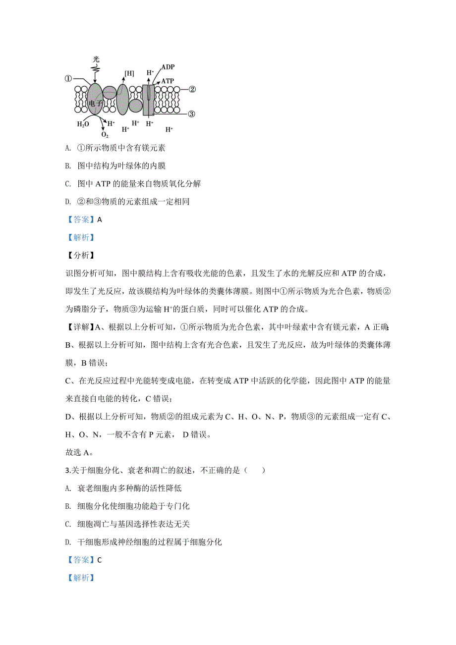 北京市顺义区2020届高三第二次统练生物试题 WORD版含解析.doc_第2页