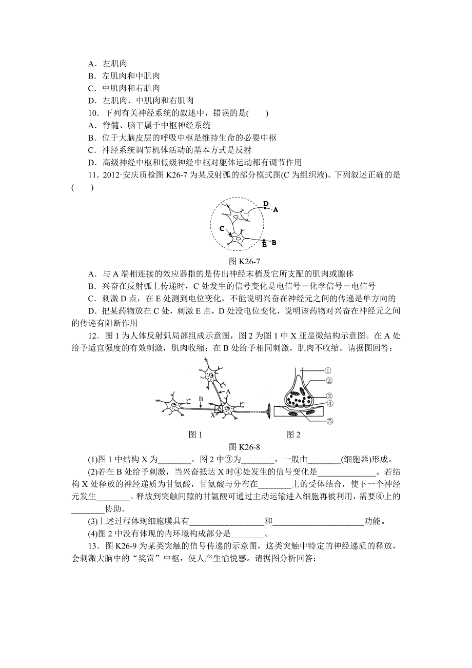 2014届高三新人教版生物一轮复习精品练习 第26讲　神经调节A WORD版含详解.doc_第3页