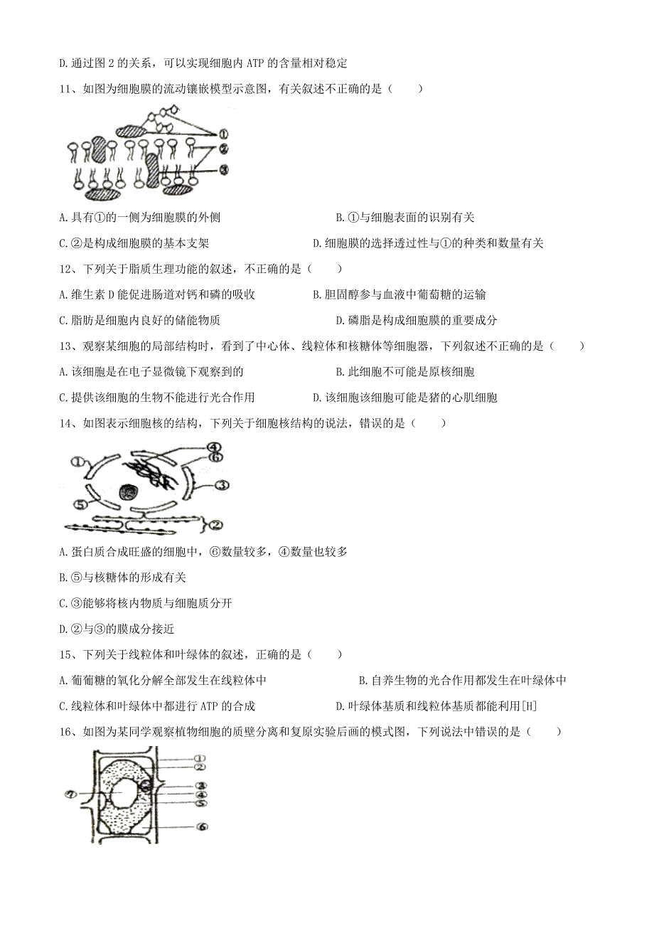 吉林省松原市长岭县第三中学2020-2021学年高一生物下学期第四次考试（开学考试）试题.doc_第3页