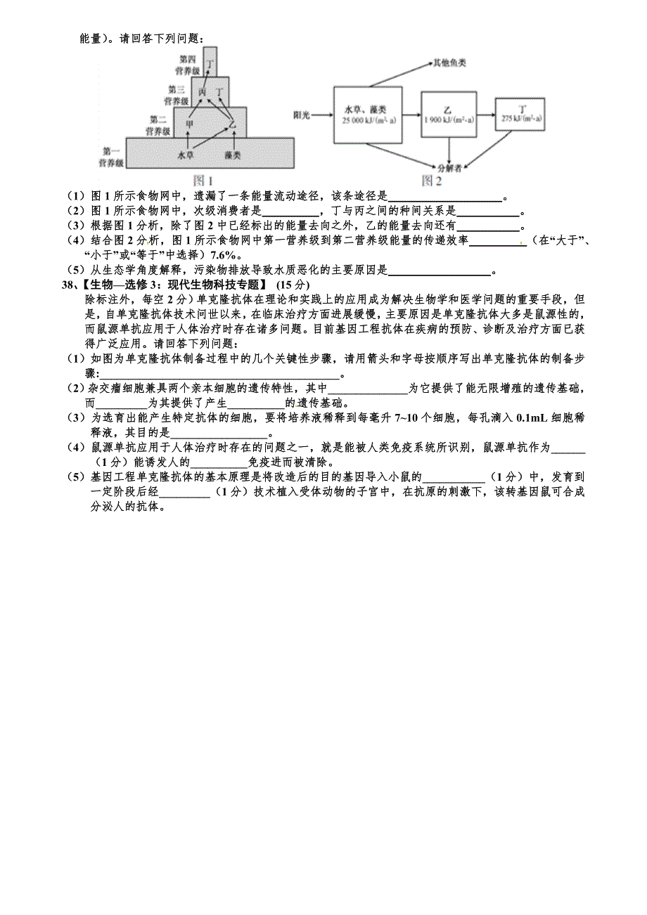 广东省深圳市红岭中学2019届高三第四次模拟考试理综-生物试题（WORD版含答案）.doc_第3页