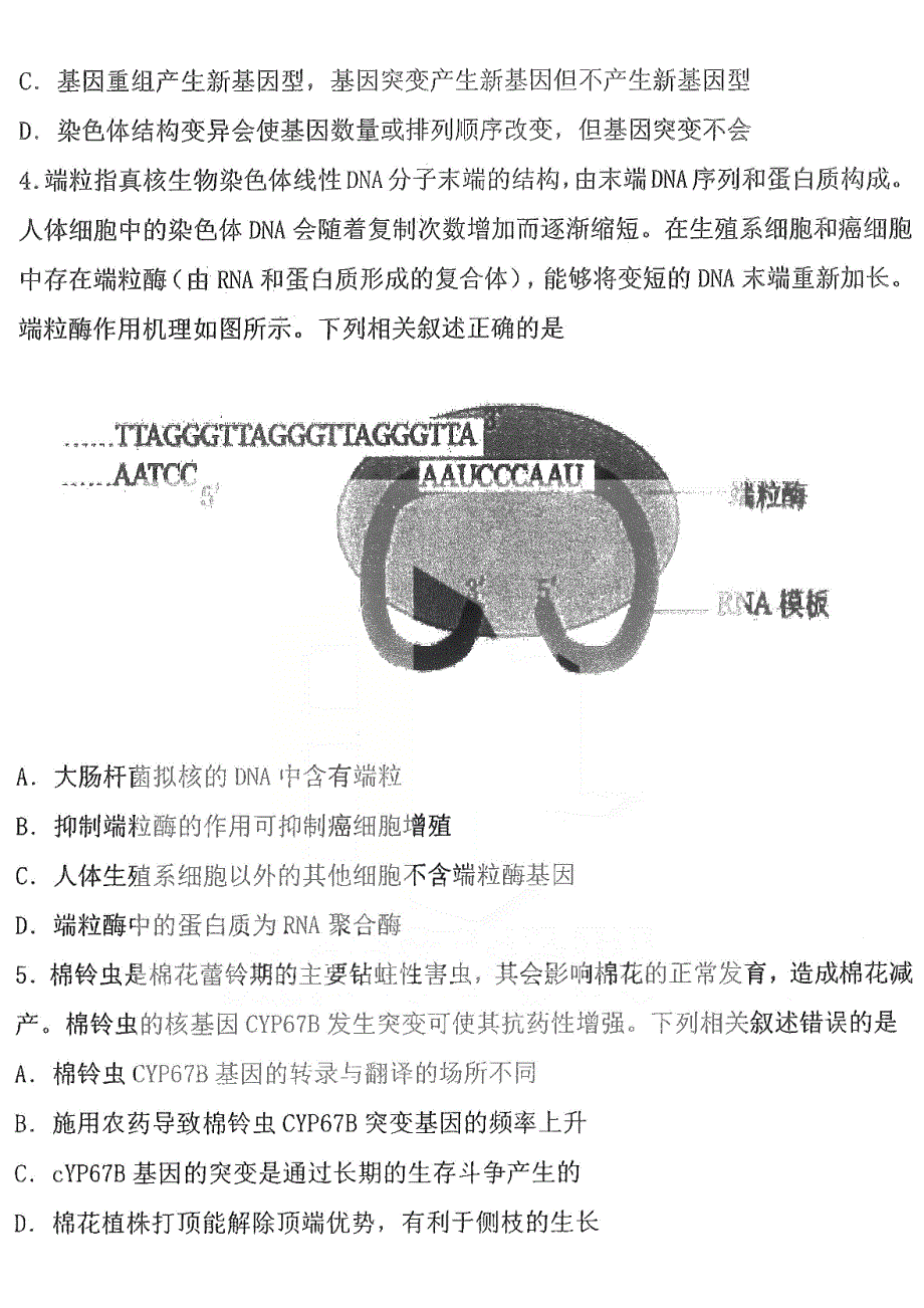 黑龙江省大庆实验中学2022届高三得分训练 理综 PDF版试卷.pdf_第2页