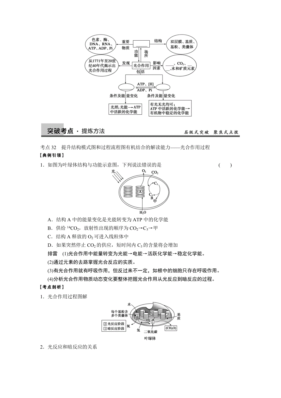 2014届高三生物一轮复习（学案+测试）-光合作用（新人教版）.doc_第3页