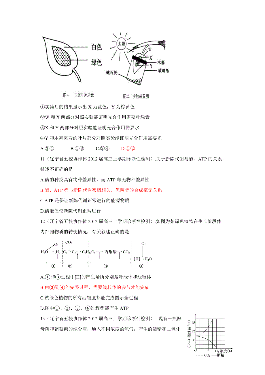 2012高一生物单元测试：第五章 细胞的能量供应和利用 2（人教版必修1）.doc_第3页