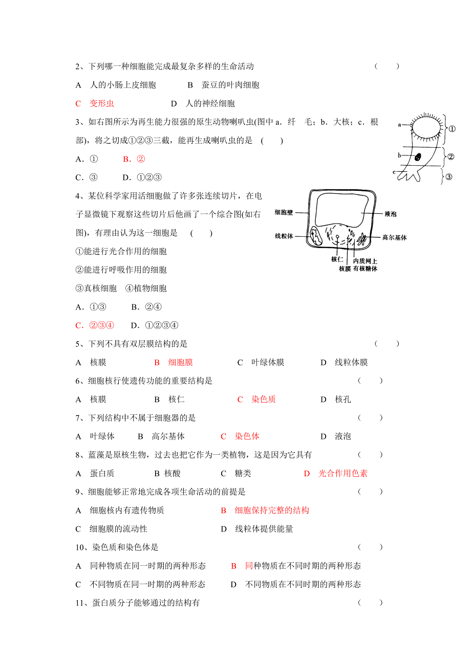 2012高一生物学案 3.3 细胞核——系统的控制中心 （人教版必修1）.doc_第2页