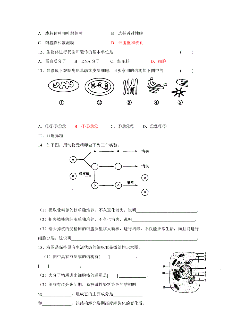 2012高一生物学案 3.3 细胞核——系统的控制中心 （人教版必修1）.doc_第3页