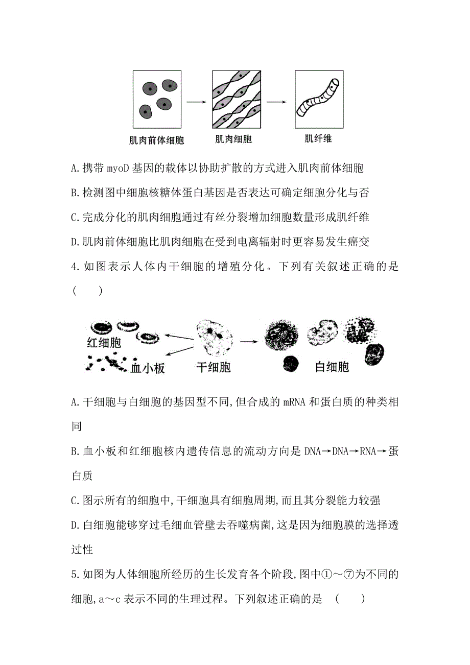 2014届高三生物专项检测：细胞的分化、衰老、凋亡和癌变 WORD版含解析.doc_第2页