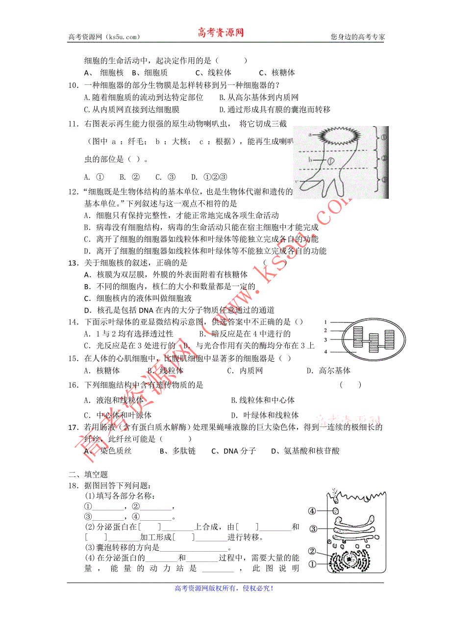 2012高一生物每课一练 3.2 细胞的类型和结构 14（苏教版必修1）.doc_第2页