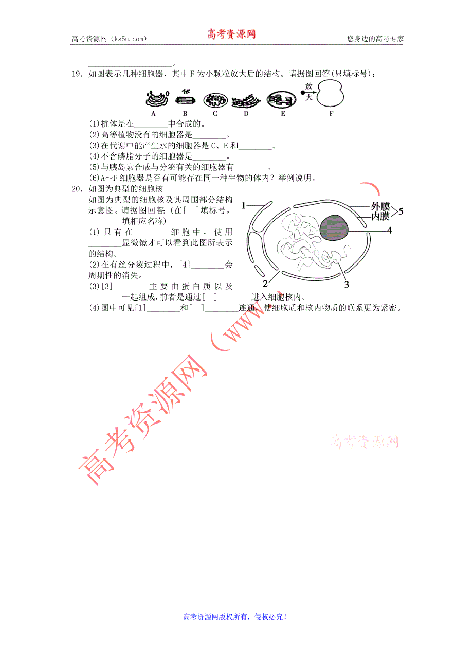 2012高一生物每课一练 3.2 细胞的类型和结构 14（苏教版必修1）.doc_第3页