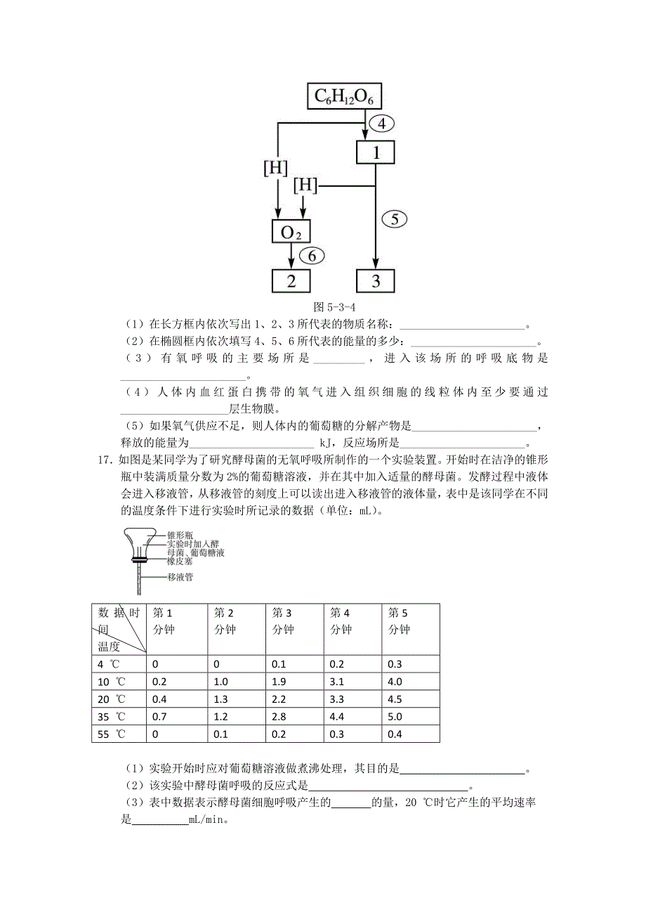 2012高一生物每课一练 3-4 细胞呼吸 21（浙科版必修1）.doc_第3页