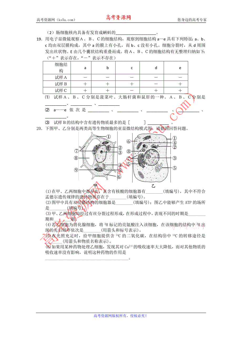 2012高一生物每课一练 3.2 细胞的类型和结构 9（苏教版必修1）.doc_第3页